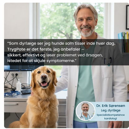 TrygPote – Ro for din hund. Fred i dit hjem.